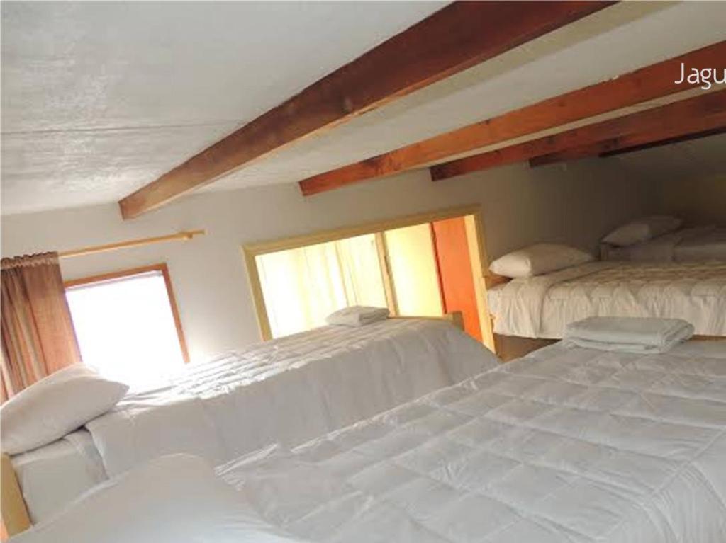 Hostel Jaguar Vina del Mar Camera foto